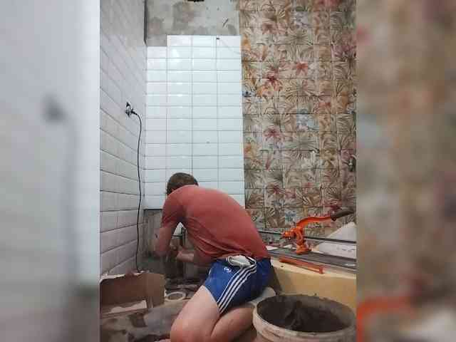 Tiler-cat Tiler-cat