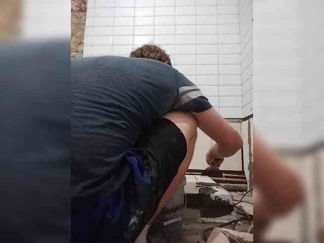 Tiler-cat