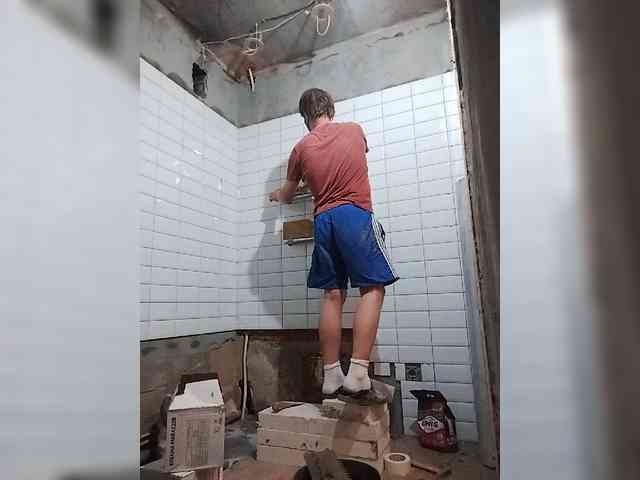 Tiler-cat