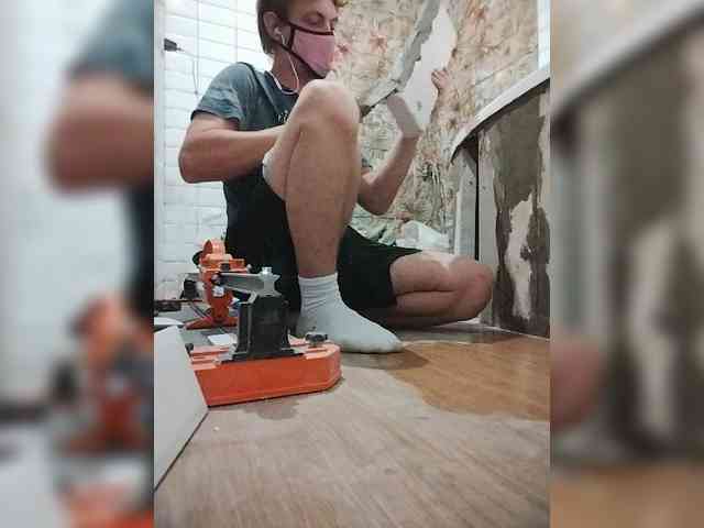 Tiler-cat