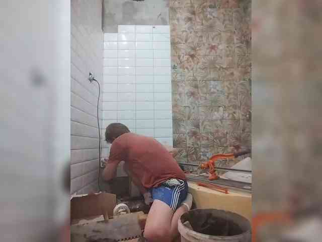 Tiler-cat