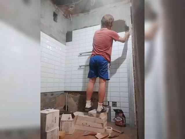 Tiler-cat