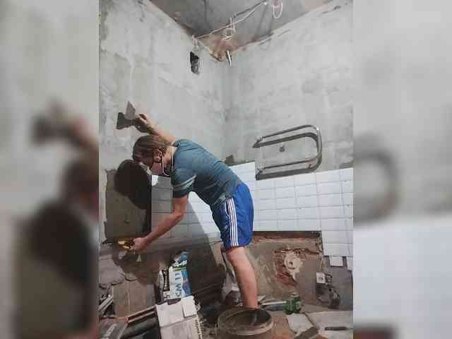 Tiler-cat