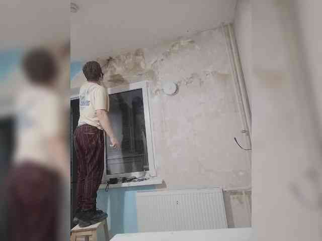 Tiler-cat