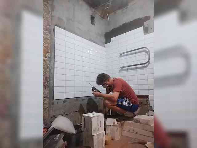 Tiler-cat