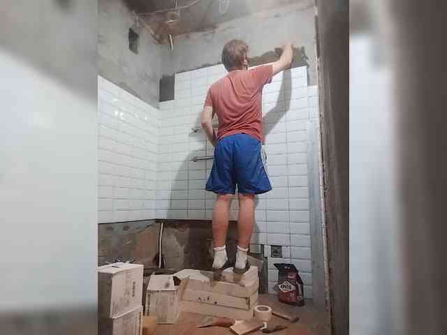 Tiler-cat