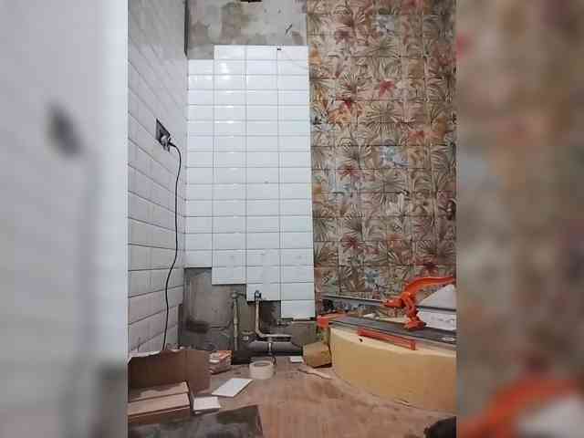 Tiler-cat Tiler-cat