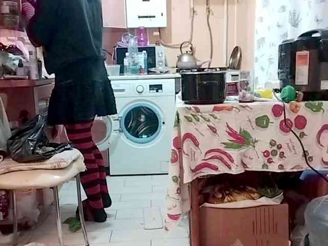 Tiler-cat Tiler-cat