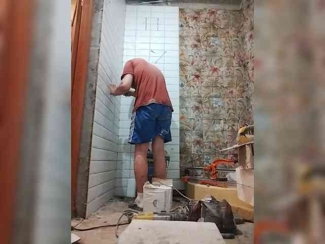 Tiler-cat
