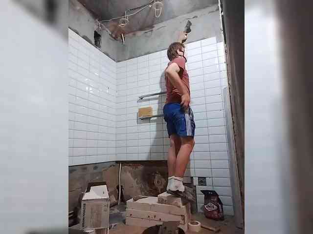 Tiler-cat