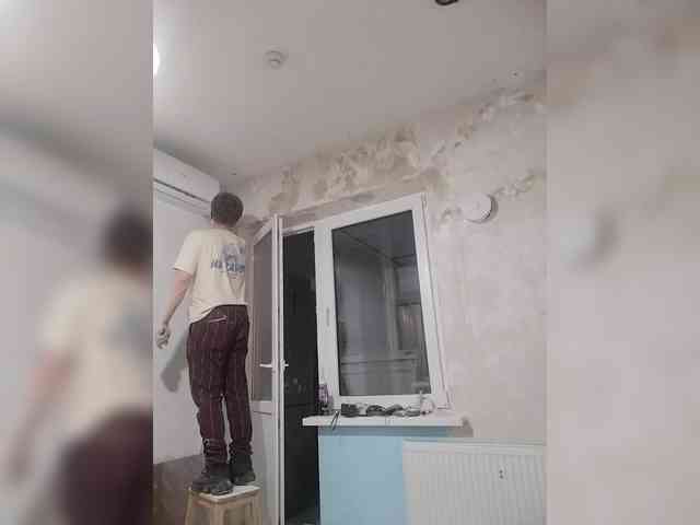 Tiler-cat