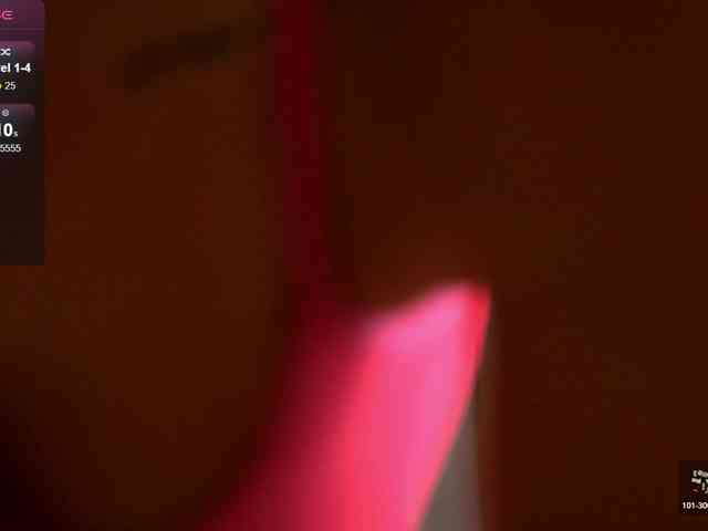 JoyMuse webcam