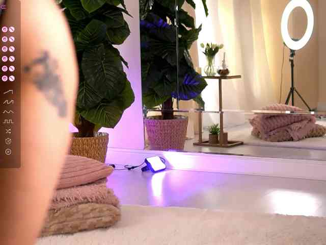 JoyMuse webcam