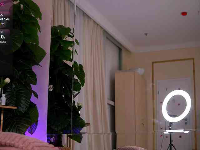 JoyMuse webcam