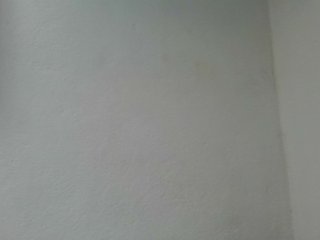 Estela's Live Webcam