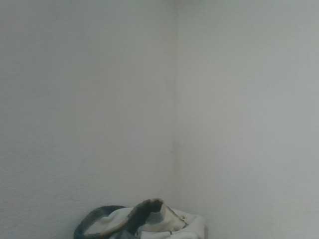 Estela live cam on BongaCams