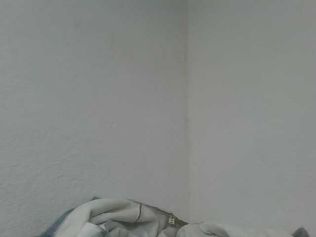 Estela live cam on BongaCams