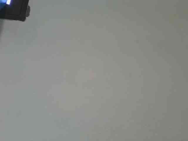 Estela webcam