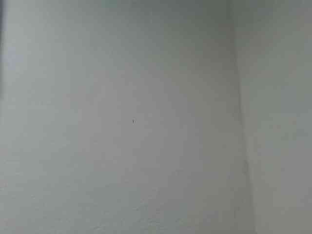 Estela webcam