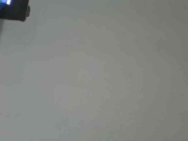 Estela webcam