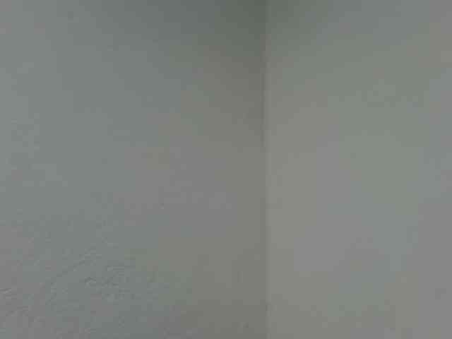 Estela webcam