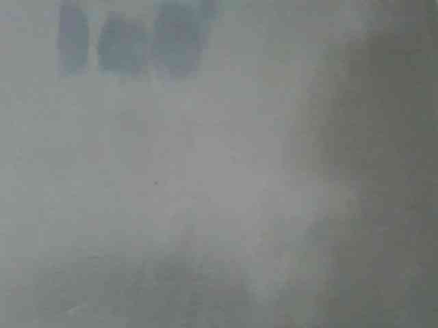 Estela webcam