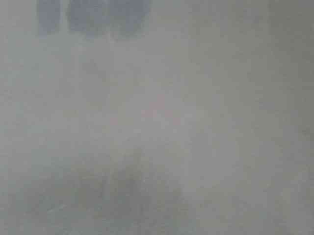 Estela webcam