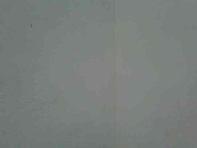 Estela webcam