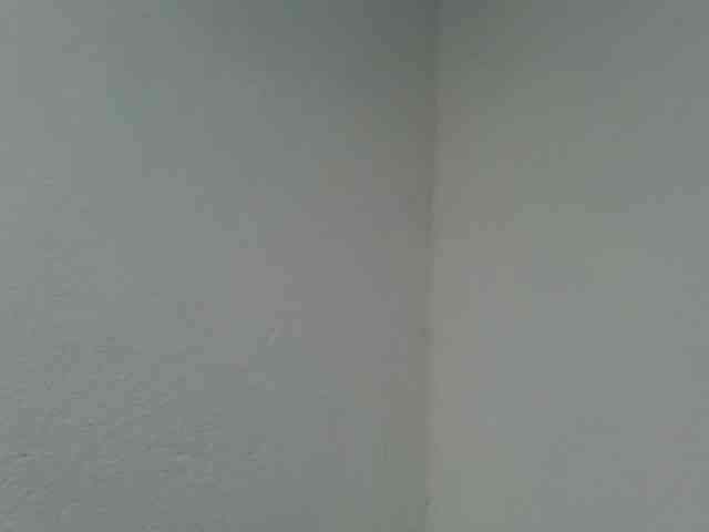 Estela webcam