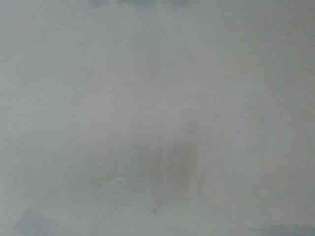 Estela webcam