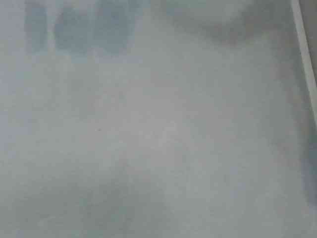 Estela webcam