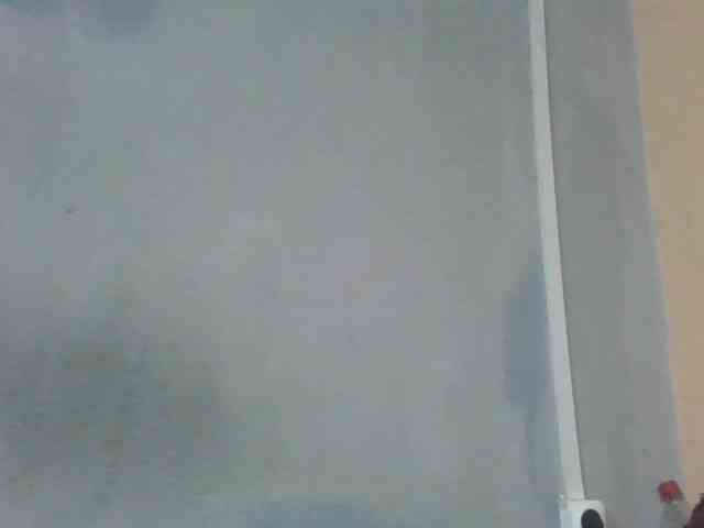 Estela webcam