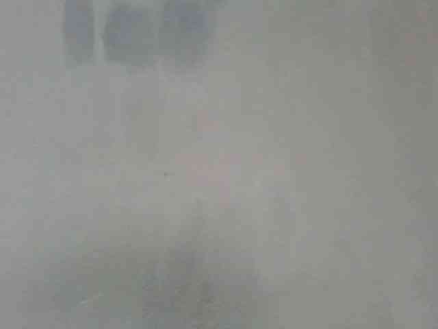 Estela webcam