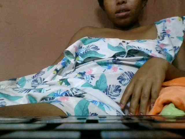 Estela webcam