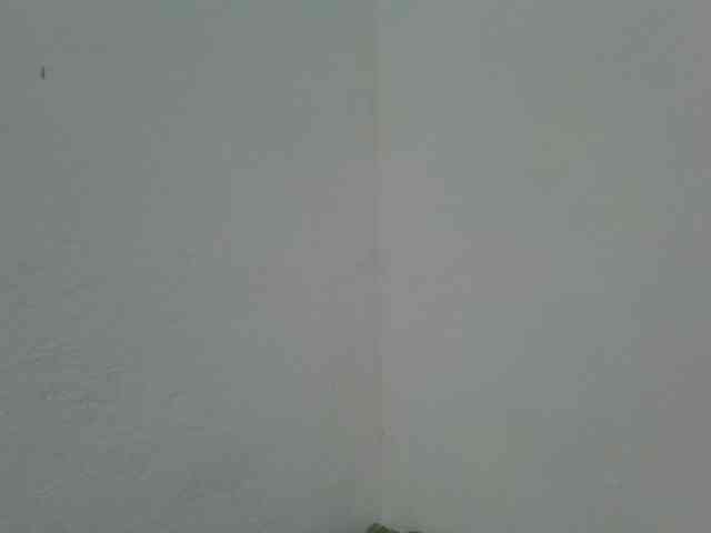 Estela webcam