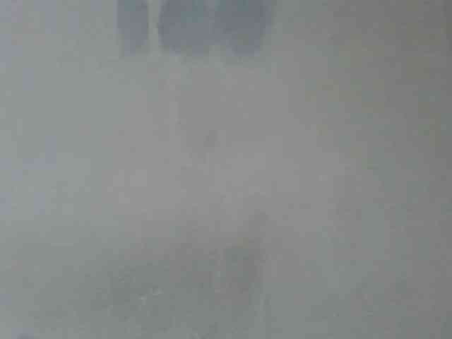 Estela webcam