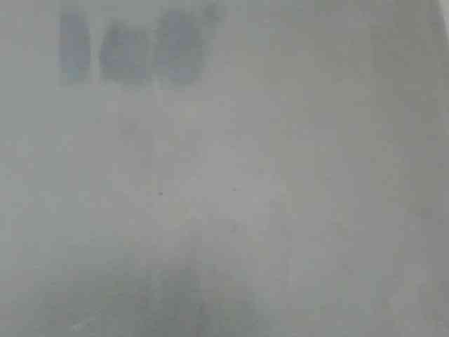 Estela webcam