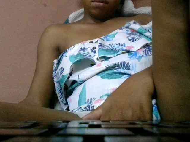 Estela webcam