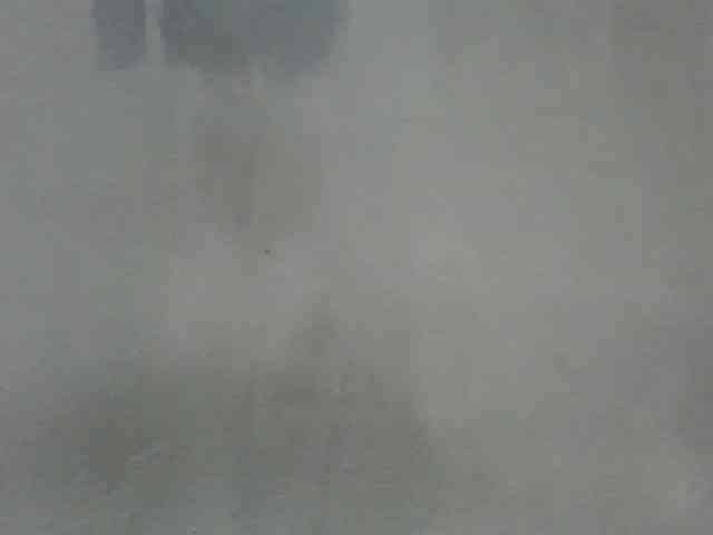 Estela webcam