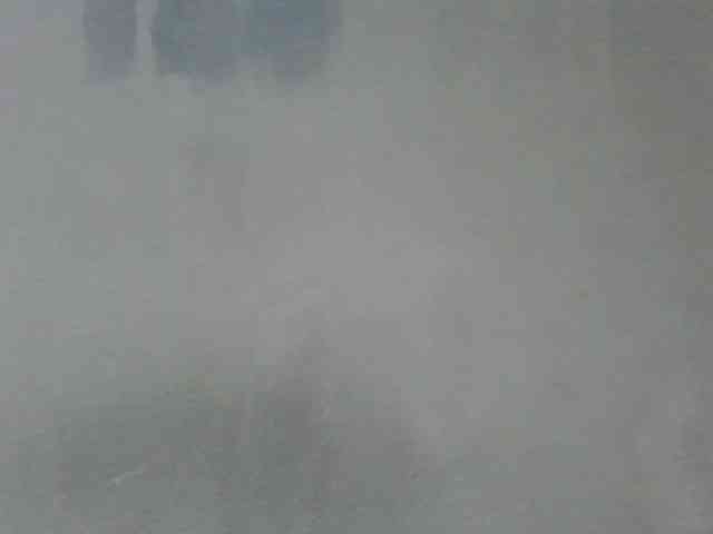 Estela webcam