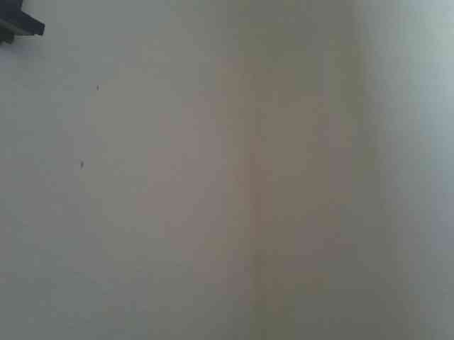 Estela webcam
