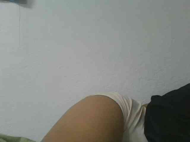 Estela webcam