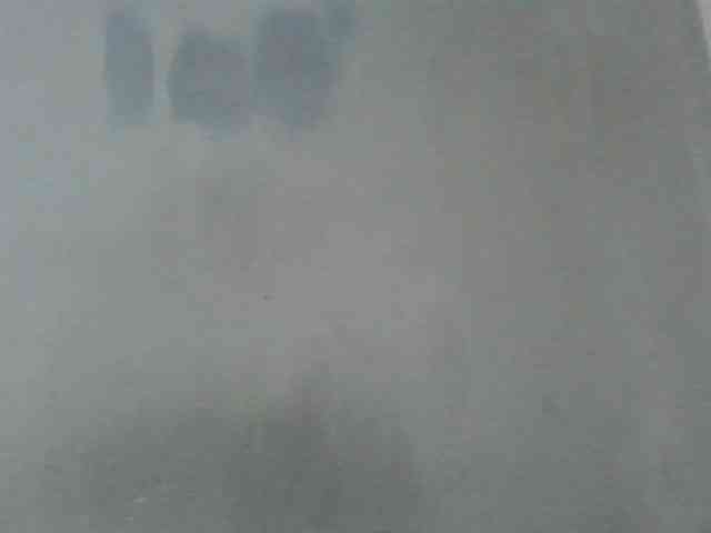 Estela webcam