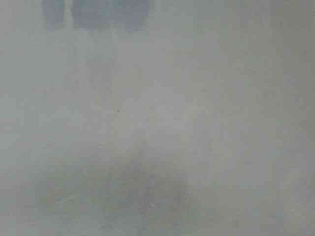 Estela webcam