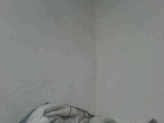 Estela webcam