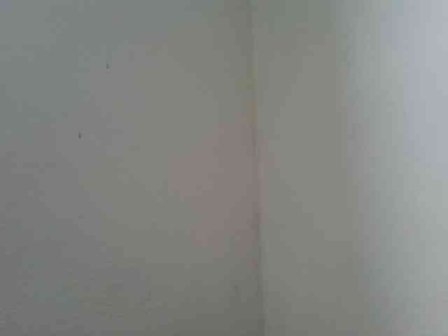 Estela webcam