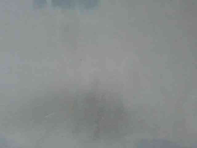 Estela webcam