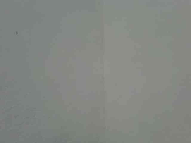 Estela webcam