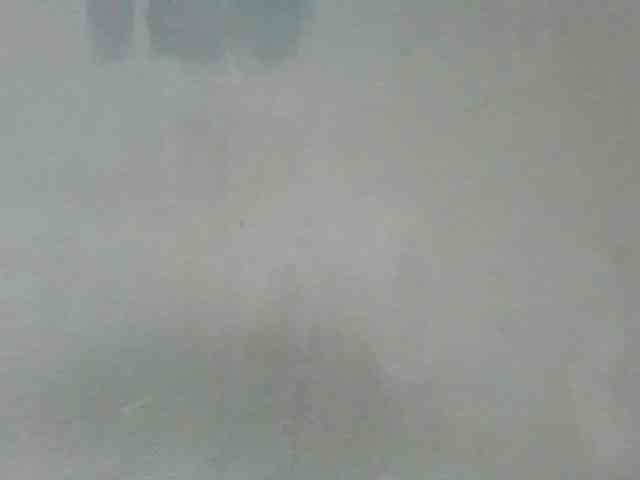 Estela webcam