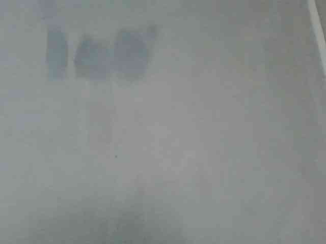 Estela webcam